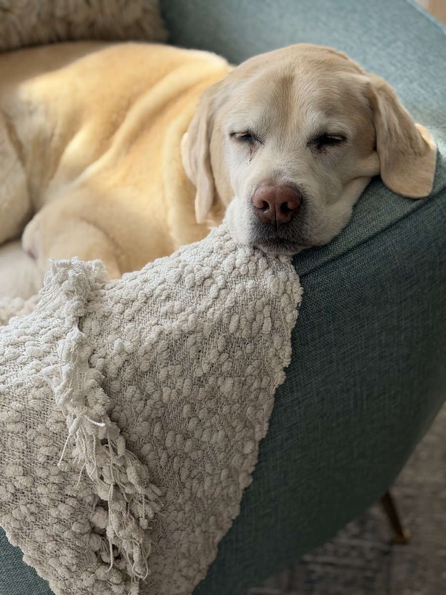 This is America and Gadsden isn’t moving