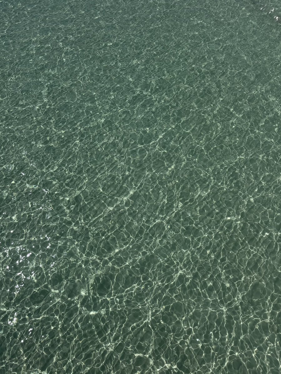 marta⋆⭒˚𓂁 tweet media