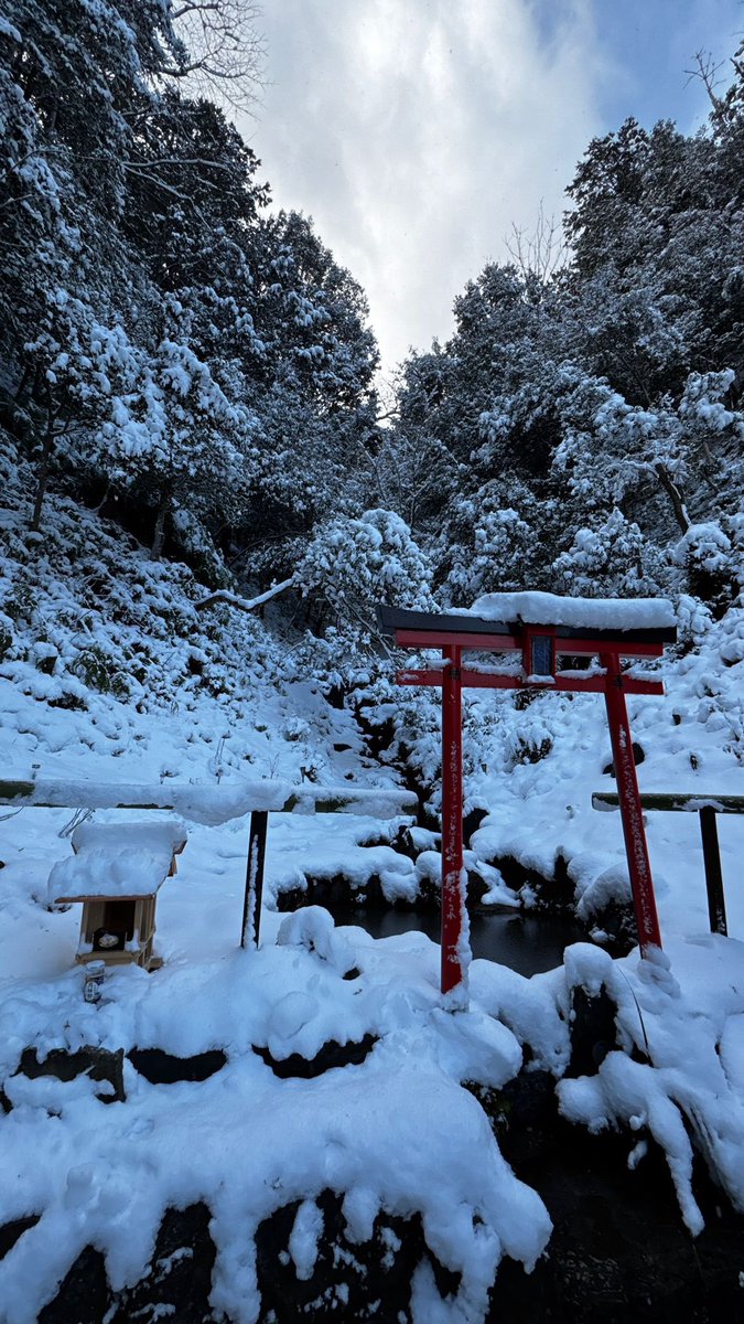 Dieck777's tweet photo. @PacoHernandezs El domingo pasado cayó una buena por aquí, especialmente en Kyoto https://t.co/shQYS6lnD0