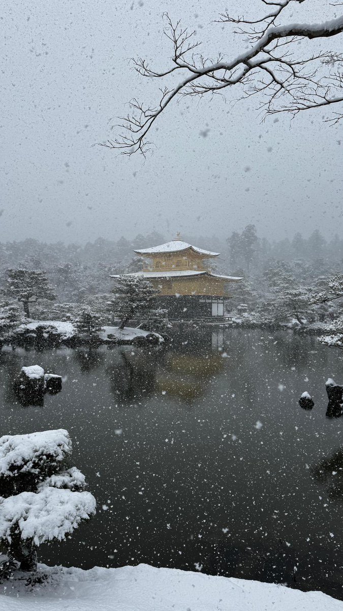 Dieck777's tweet photo. @PacoHernandezs El domingo pasado cayó una buena por aquí, especialmente en Kyoto https://t.co/shQYS6lnD0