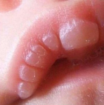 سيّاف⚔️ tweet media