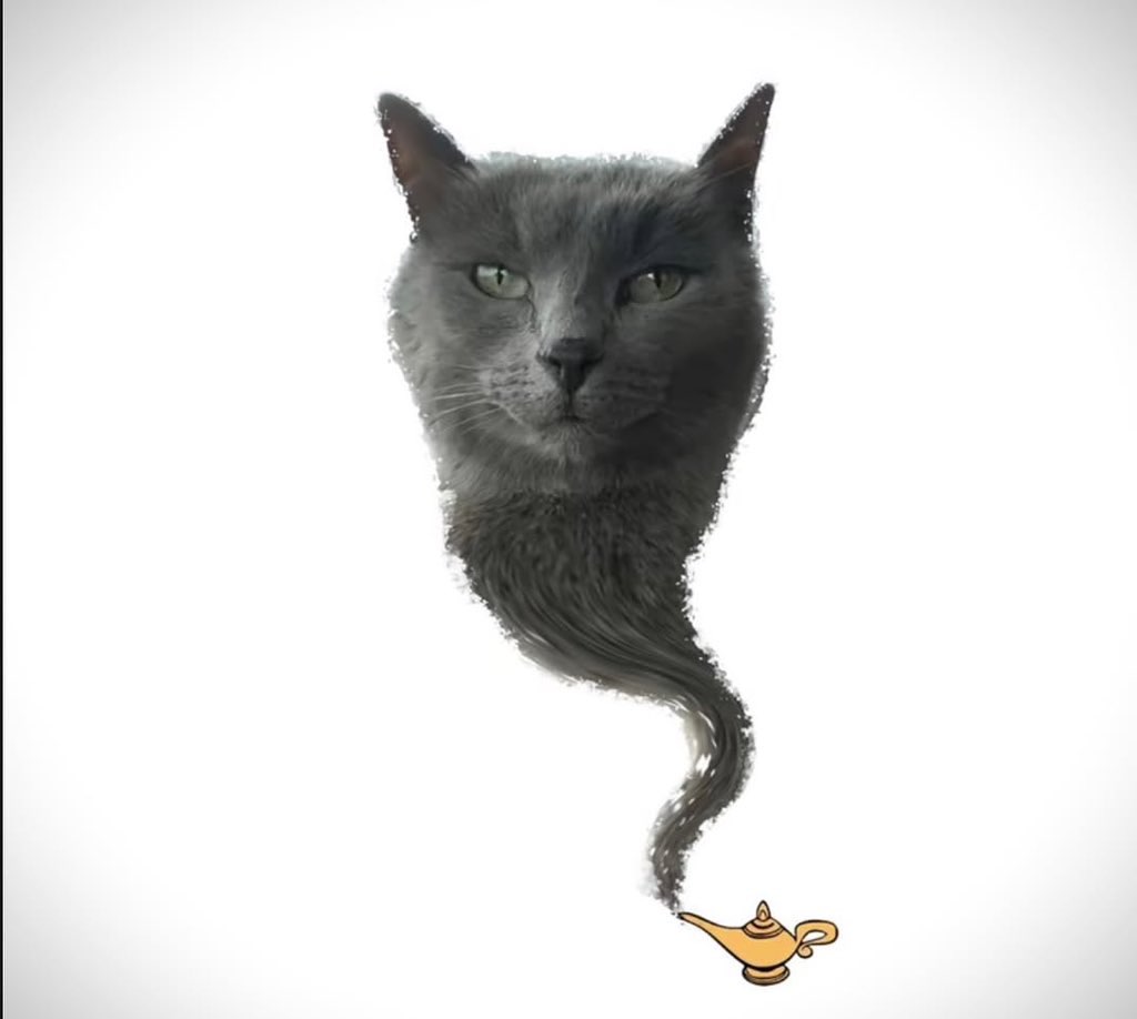 stickydacat's tweet photo. You get 9 wishes and you arent allowed to wish for tuna bc its all mine you cant have any https://t.co/AyUvovOSQ2