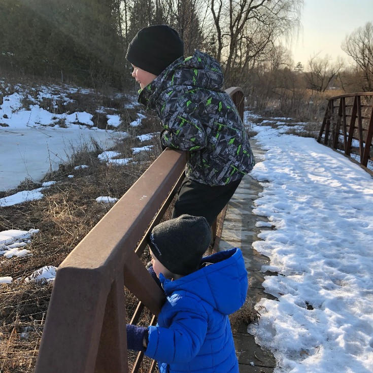 Lake Simcoe CA tweet media