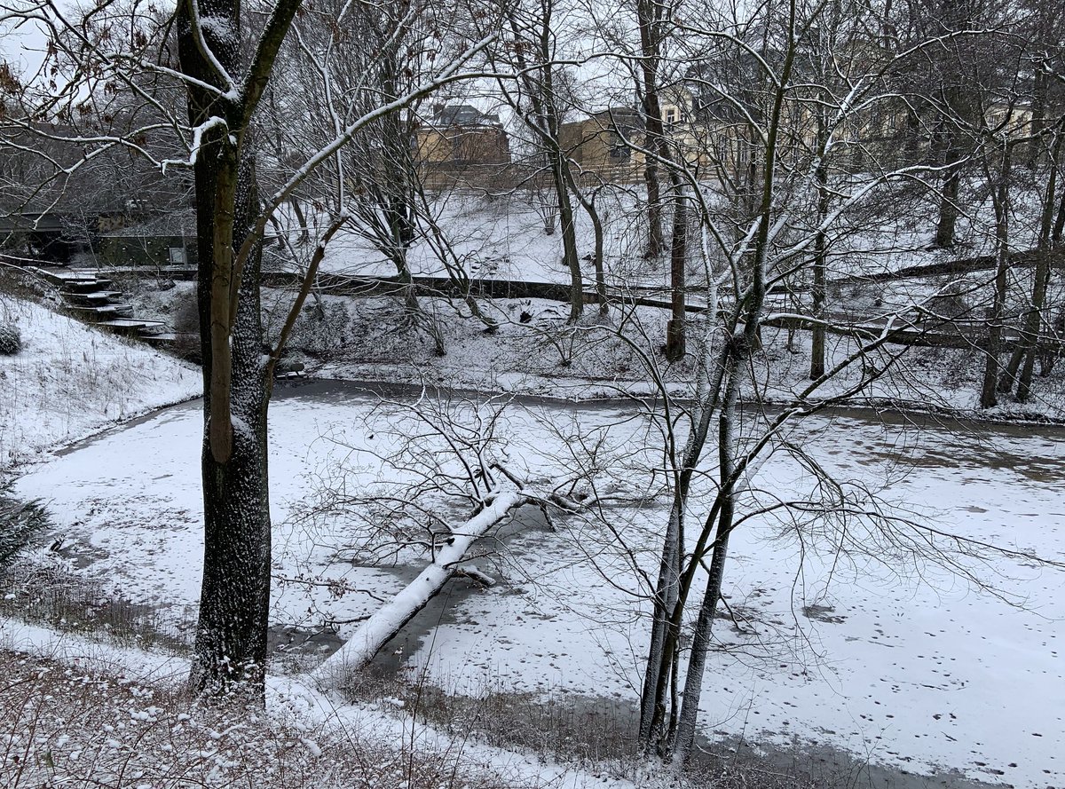 💐🍸🍷🎶🌈#hamburg today🌊#HappyWeekend Friends! ☮peace☮✨love💖🏕#NoWar!❄🌎🌳🚴‍♀️