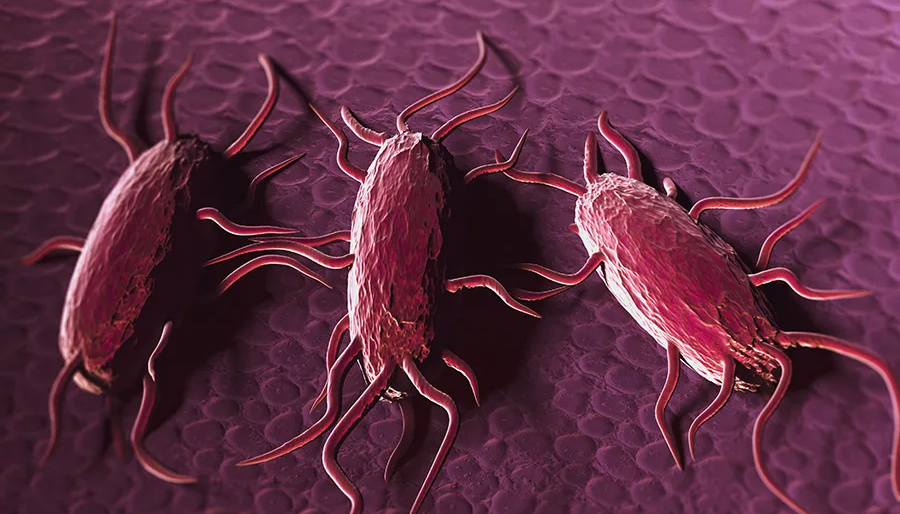 UC Berkeley MCB tweet media