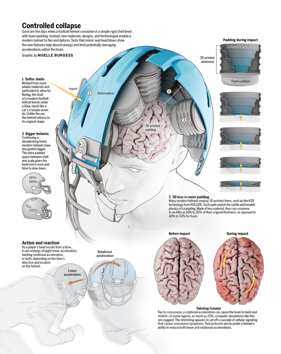 Science Magazine tweet media