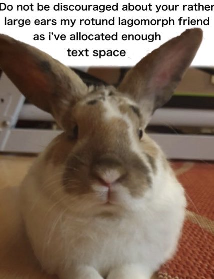 <a href="/paddyloaf/">robyn 👱🏻‍♀️& paddy 🐰</a>