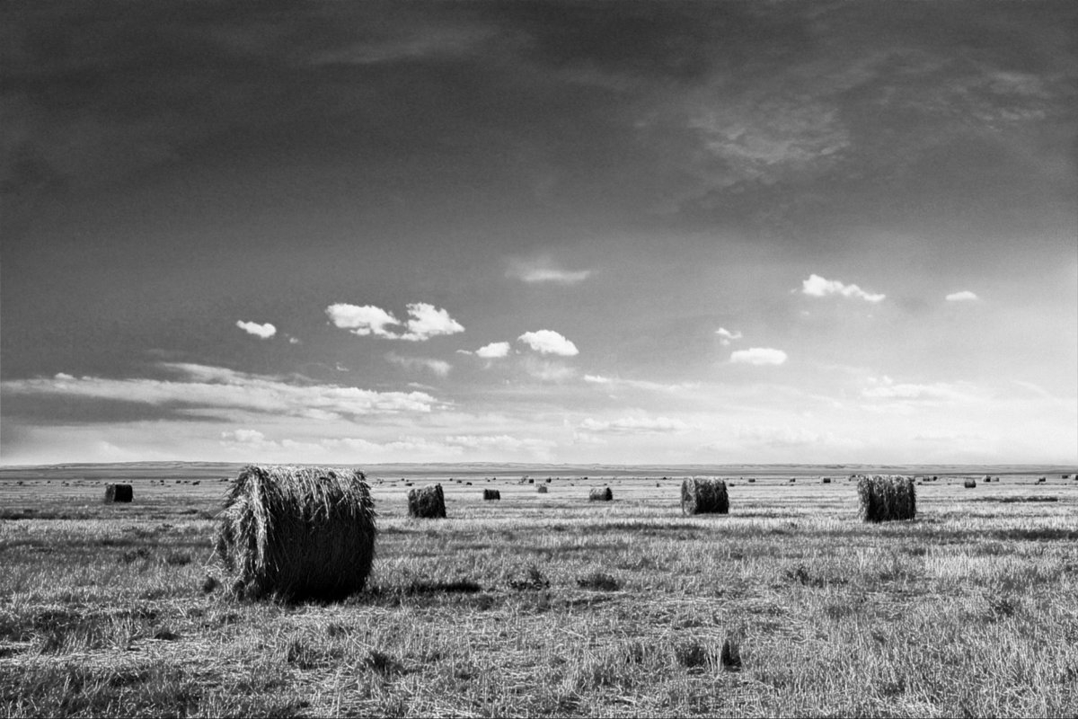 DIMITRII ANISIMOV tweet media