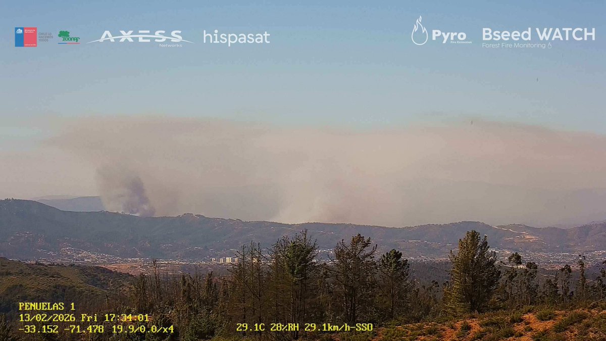 Pyrofire tweet media