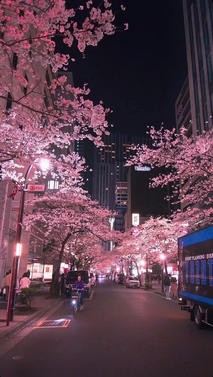 japanvistas's tweet image. Japan by night. 🌸