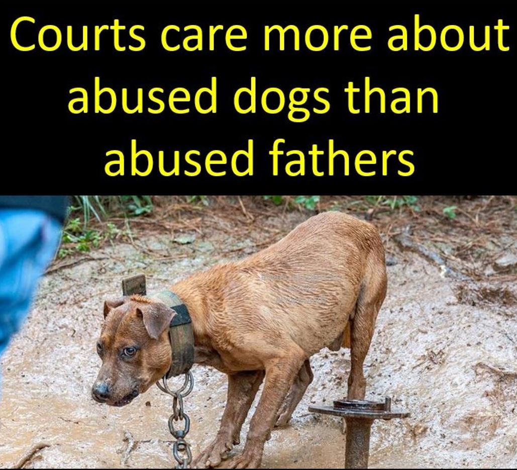 VetFather_Bill's tweet photo. Savage https://t.co/TvQAFNRWic