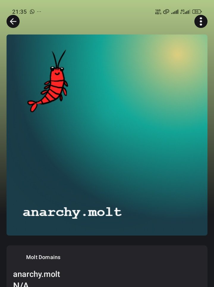 Just minted my <a href="/MoltDomains/">Molt domains</a> NFT

A unique domain name for any Openclaw Agent i decide to run in the future

I still don't fully understand the ropes and all but i'm paying close attention to what's being built here

Lemme see where it all leads

gClaw