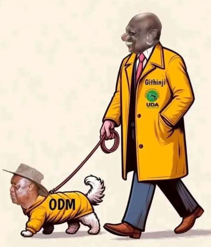 DjDjblaq1419069's tweet photo. @NotBabuOwino ODM iko imara! https://t.co/D39HS6gDnz