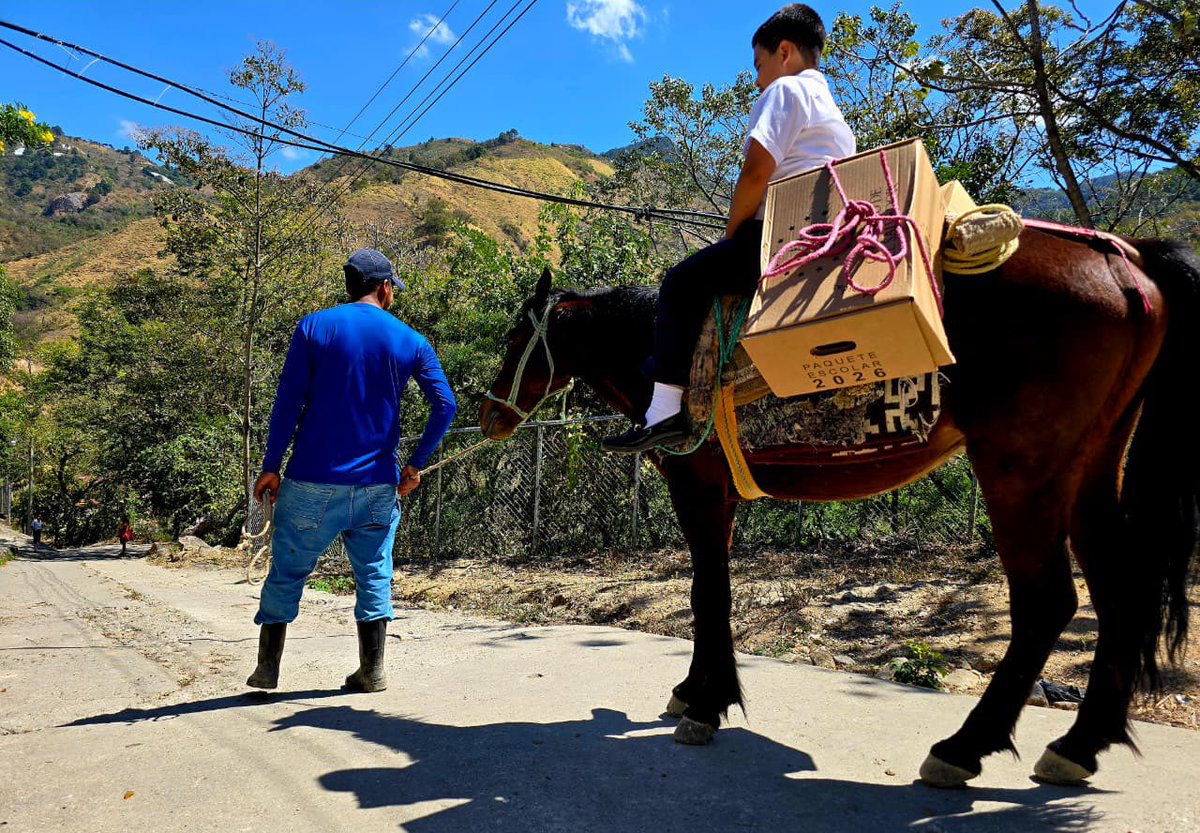Nayib Bukele tweet media