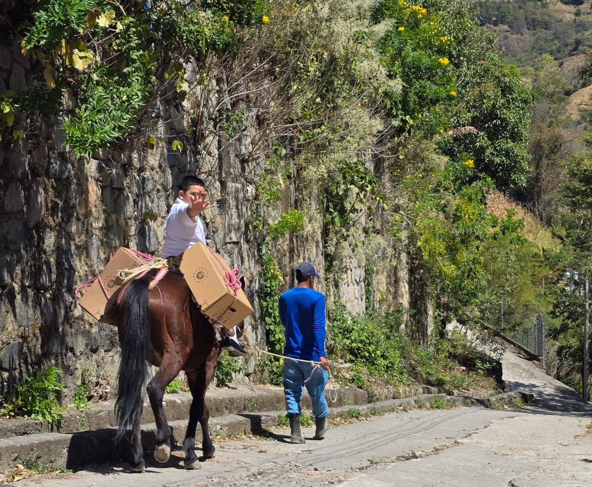 Nayib Bukele tweet media