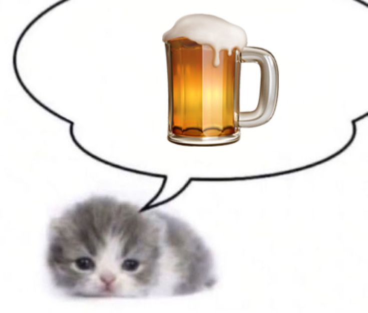 taslagimda buldum da