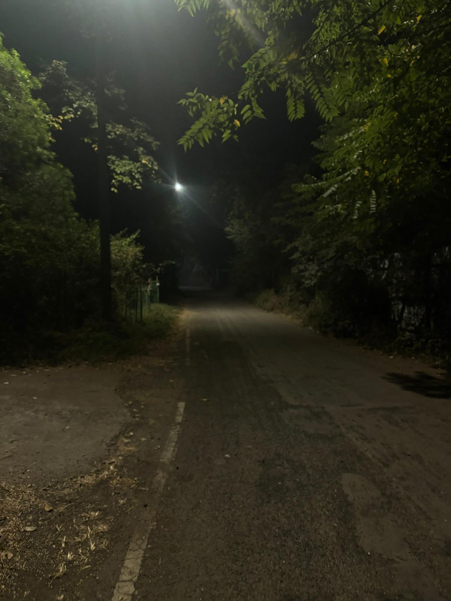 vociment tweet media