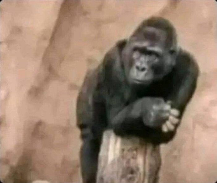 Some girls tomorrow when their friends are getting gifts from their bf😂😂