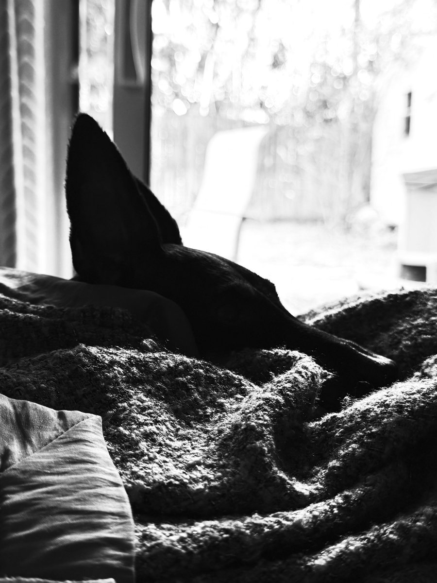 RonHendrickson3's tweet photo. Aerodynamic napping is 30% more efficient, unfortunately dream state is reduced by the drag coefficient of the blanket in inverse proportion. https://t.co/uMJgyhZi9t
