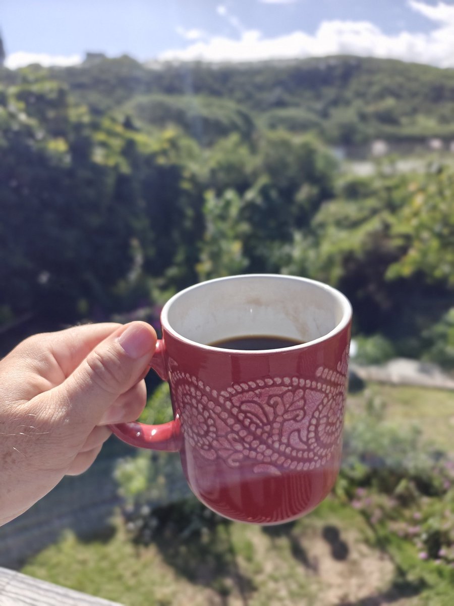 Nuthin' sets the tona like a steamin' cuppa Kona in the mooooooooorning!