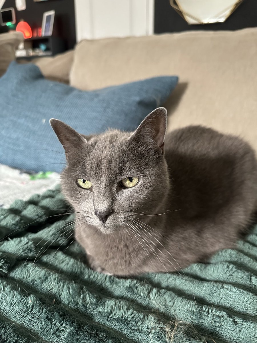 Tate Hunter tweet media