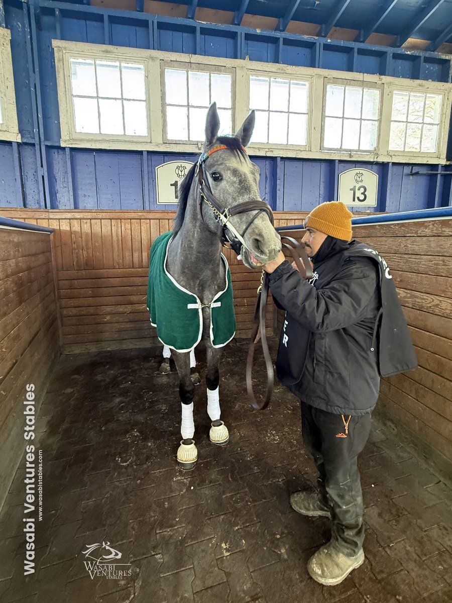 MichelePesulaKuegler tweet media