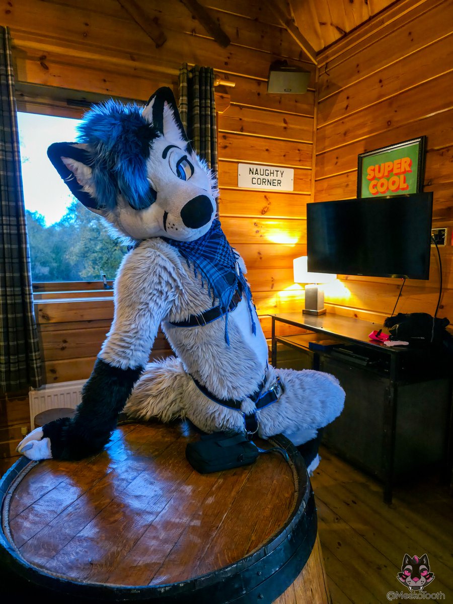 Riyo ➡️ Scotia, NFC tweet media