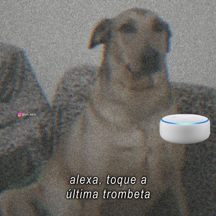 Nem quando existia o Império era assim, Paulo.