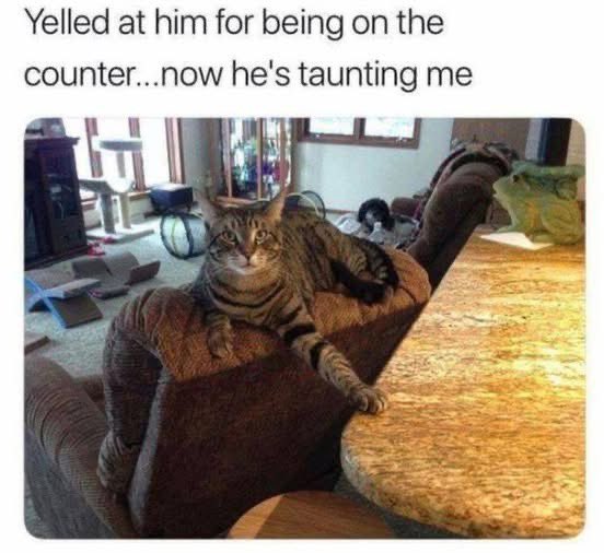 Mrs. Smith tweet media