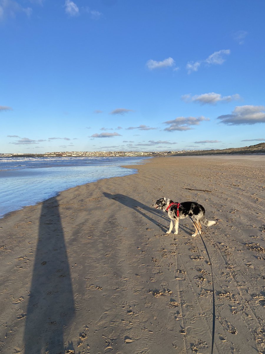 Alice 🌍✈️ tweet media