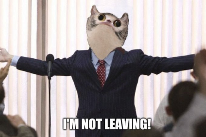 Meep aint meeping leaving