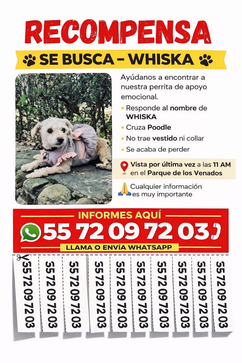 Cinthya Del Portillo tweet media