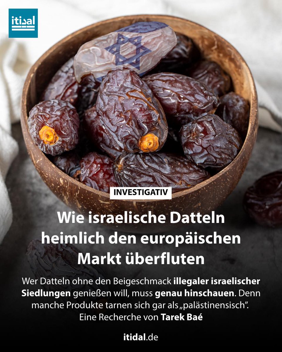 Tarek Baé tweet media