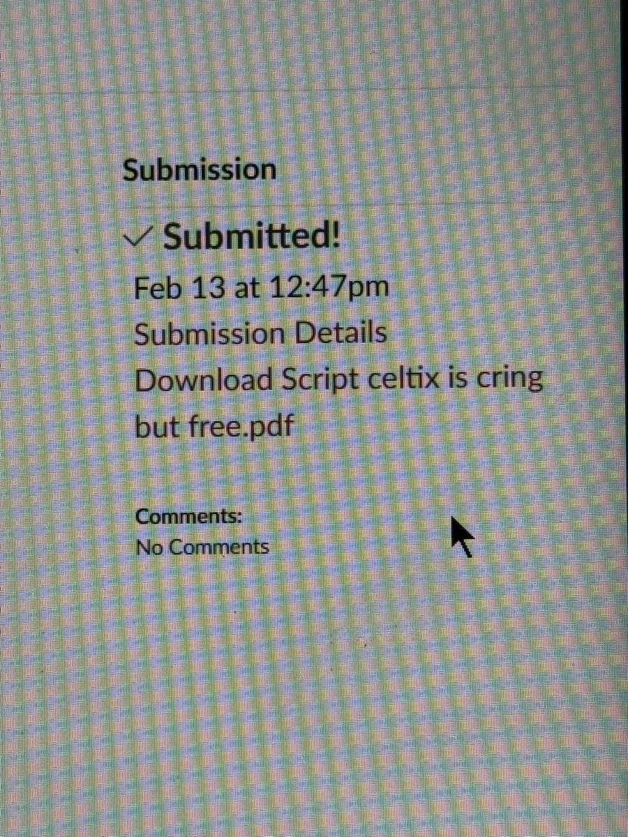 accidentally submitted an assignment for my screenwriting class with the title