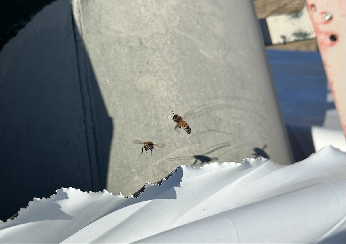 Scott Gard tweet media