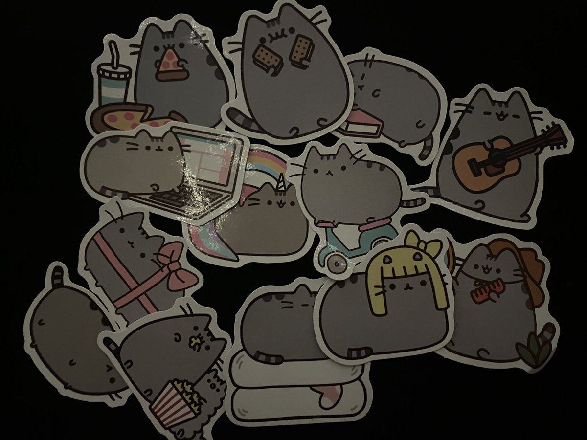 pusheen eu amo você