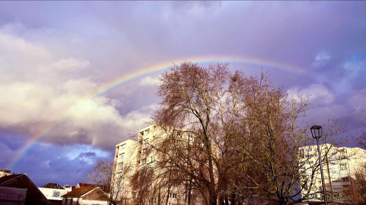 putainement's tweet photo. 🌈🌈🌈 https://t.co/JIk4JWWK8o