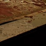 S.T.A.L.K.E.R. 2 News tweet media