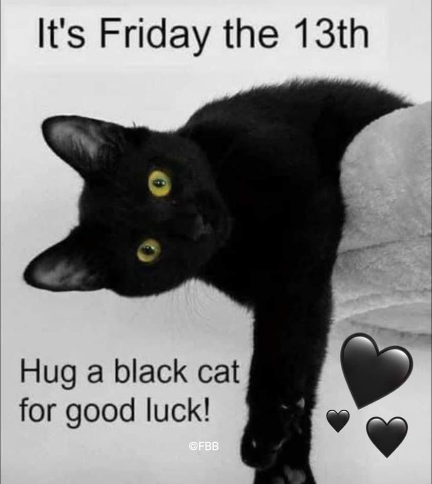 Mysticnocturne (@mysticnocturne) on Twitter photo 