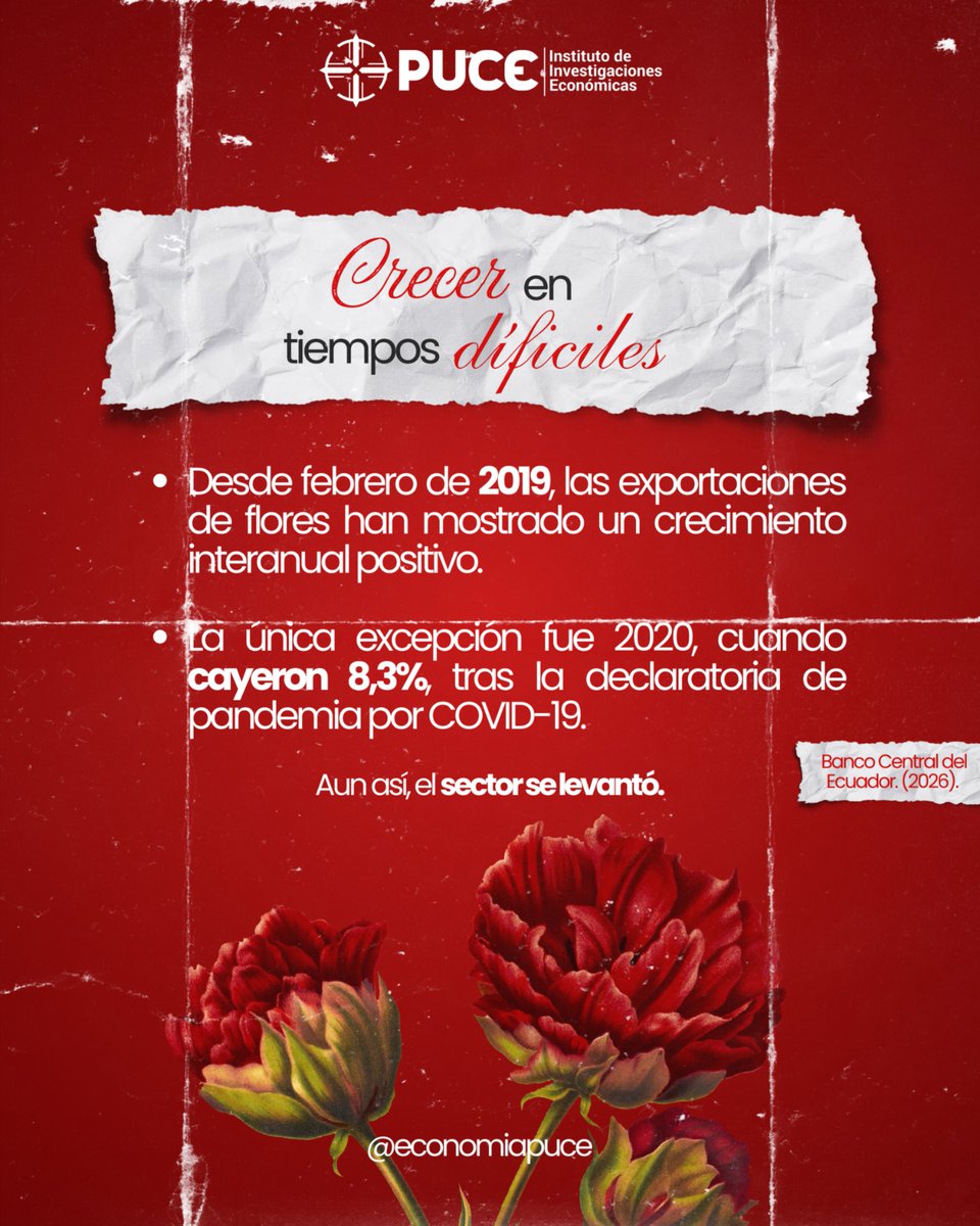 Investigaciones Económicas PUCE tweet media