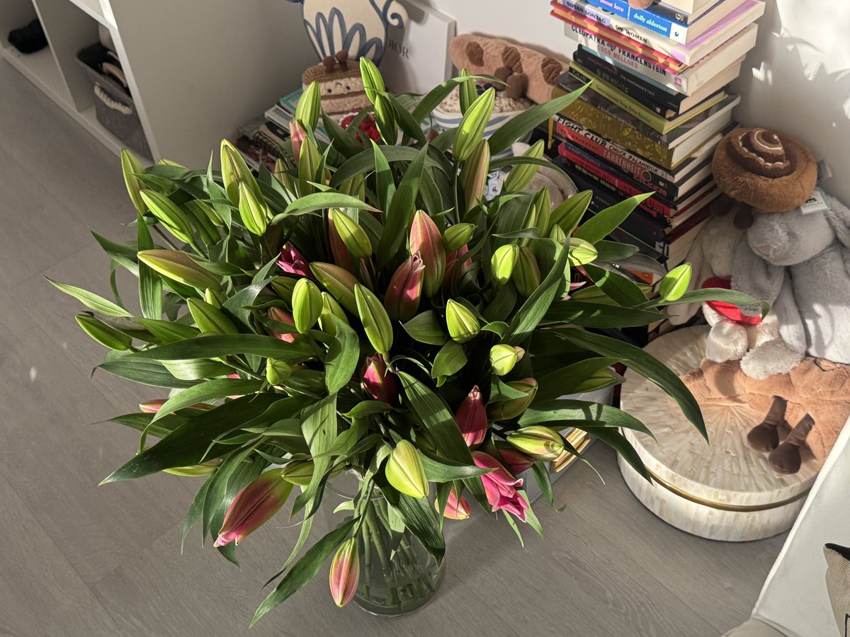 ph6ma's tweet image. lillies&amp;gt;