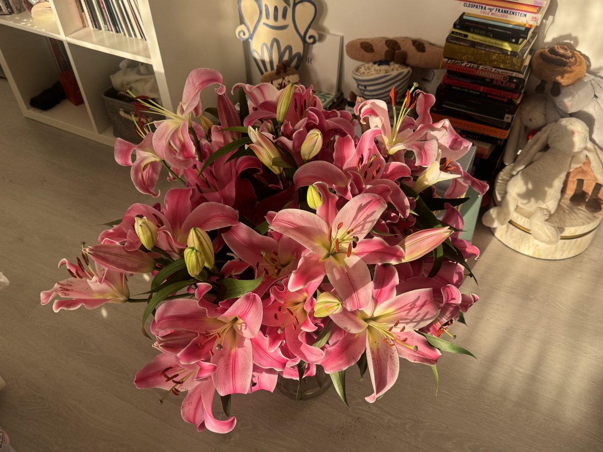 ph6ma's tweet image. lillies&amp;gt;
