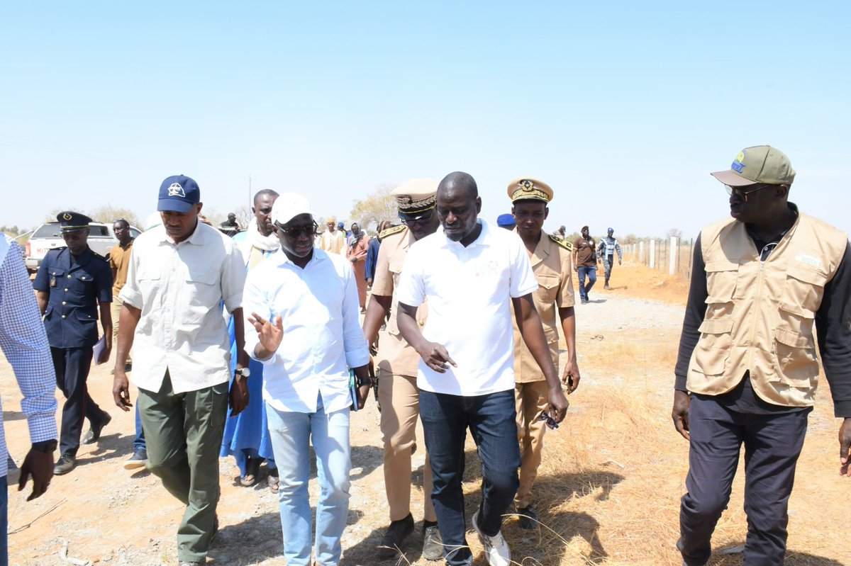 Ministère de l'Agriculture et de l'Elevage - MASAE tweet media