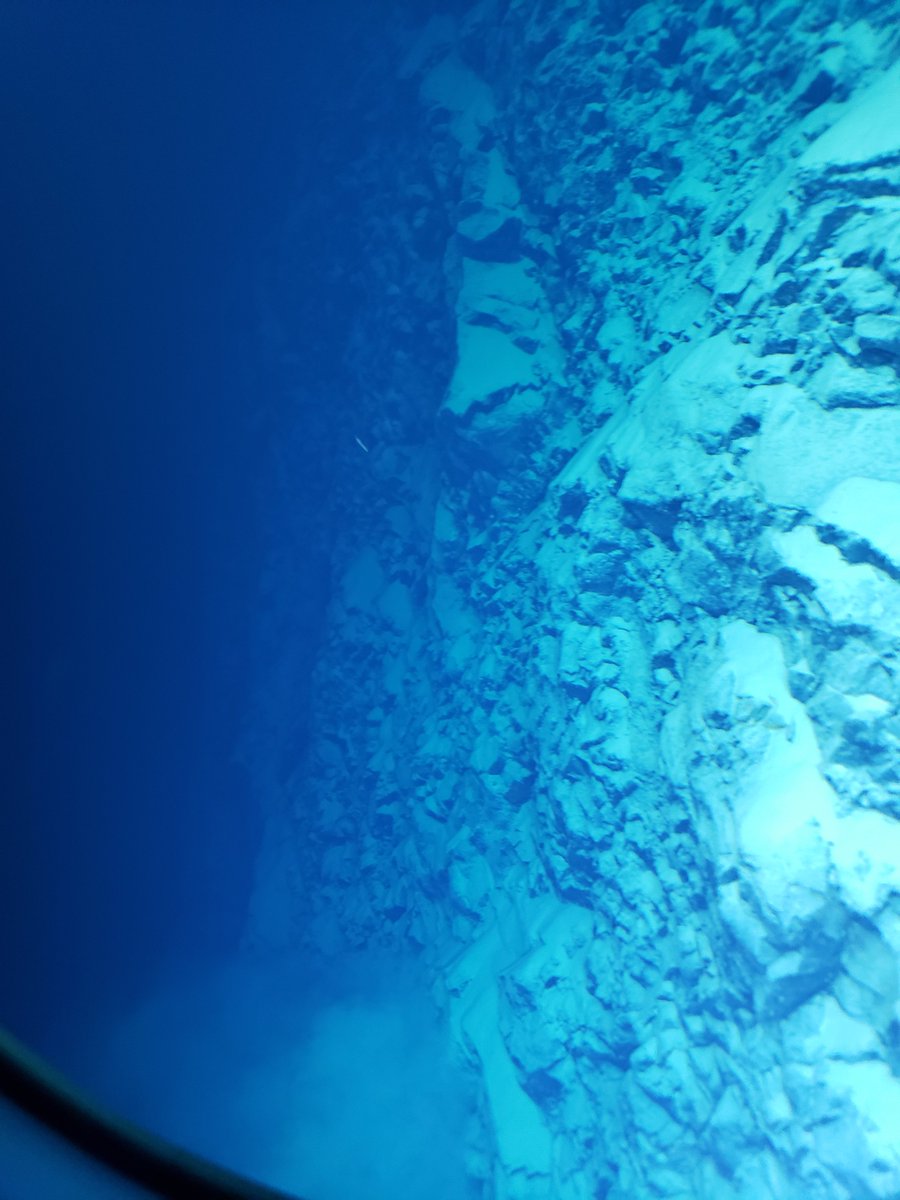 VictorVescovo's tweet photo. @MakeUSA_Great @NatureUnedited Well, here are some pictures I personally took at the bottom of Challenger Deep, 10,935 meters. Light does indeed cast about 25-35 meters even there. G'day. https://t.co/utw8jWuJgM