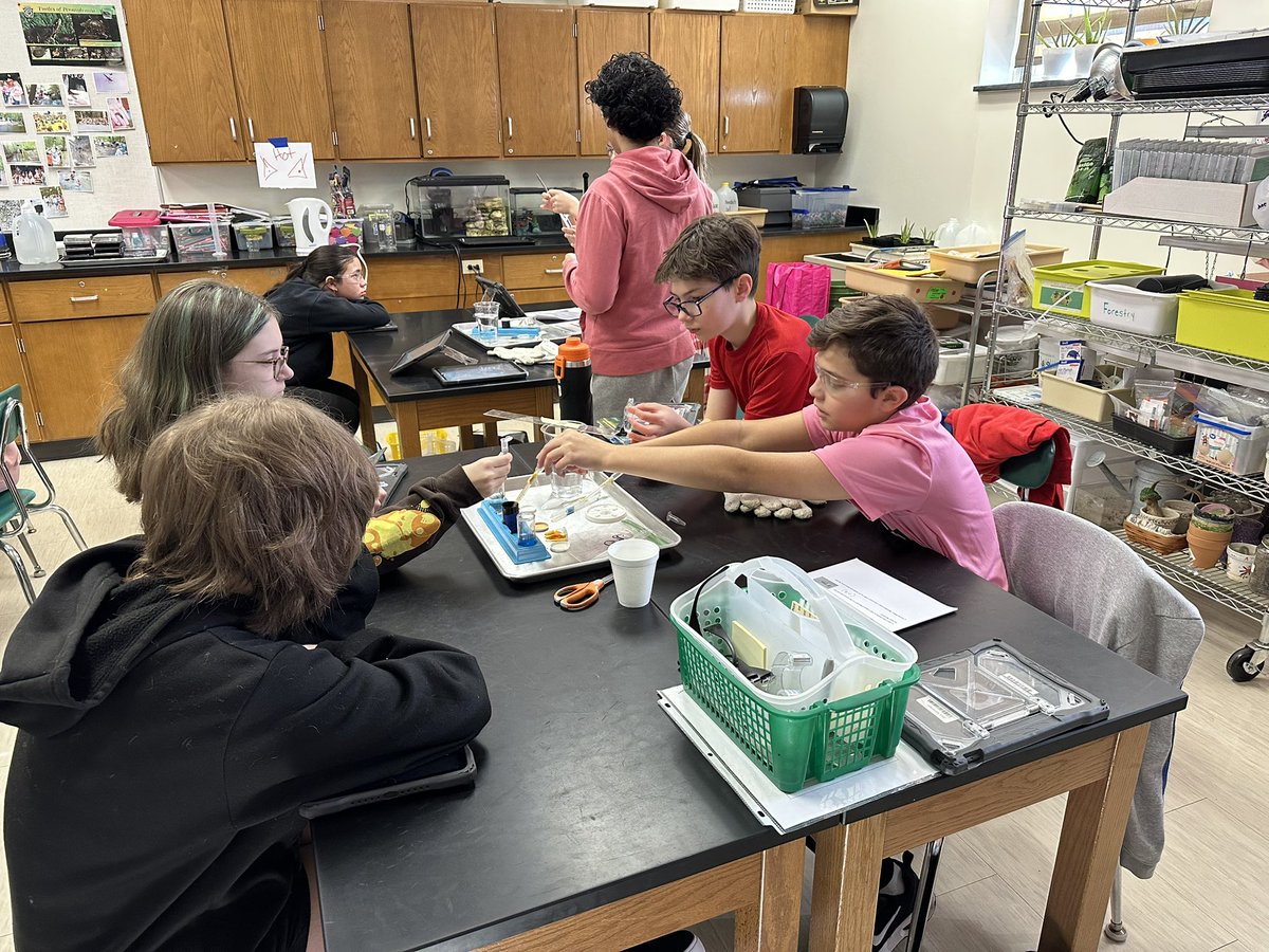 Amanda Deibert tweet media