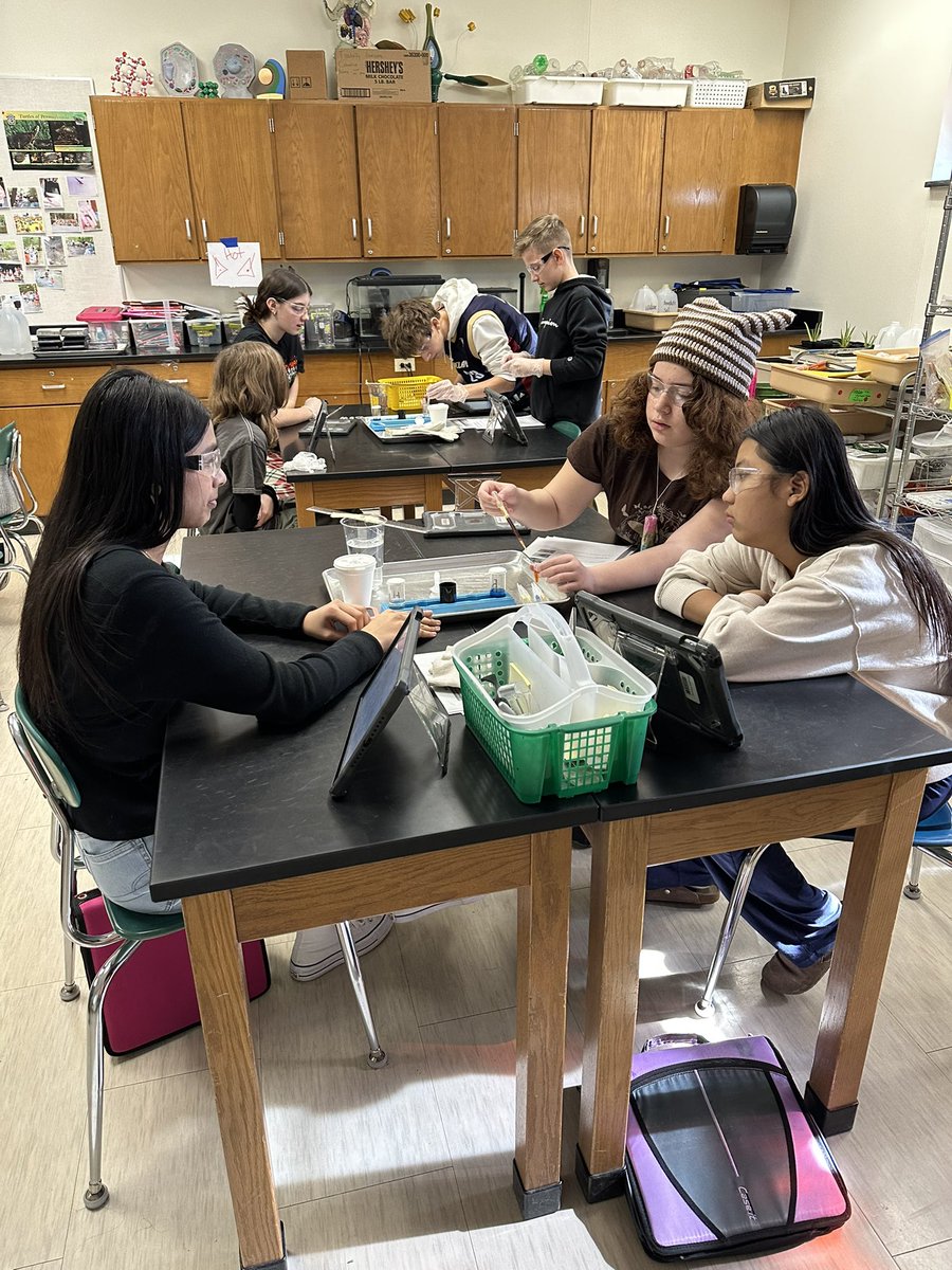 Amanda Deibert tweet media