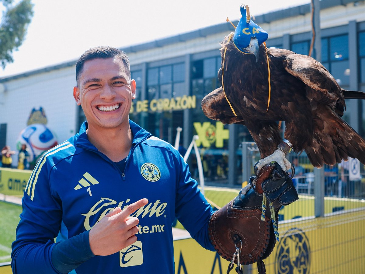 ClubAmerica's tweet image. En este Día Nacional del Águila Real, apreciemos a Celeste, siempre tan majestuosa y audaz. 🦅✨