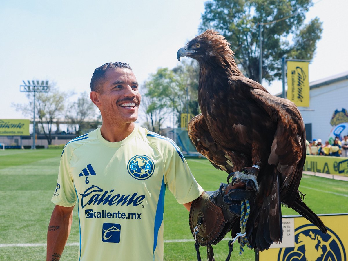 ClubAmerica's tweet image. En este Día Nacional del Águila Real, apreciemos a Celeste, siempre tan majestuosa y audaz. 🦅✨