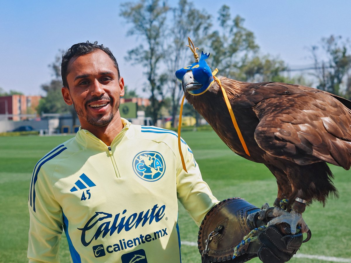 ClubAmerica's tweet image. En este Día Nacional del Águila Real, apreciemos a Celeste, siempre tan majestuosa y audaz. 🦅✨