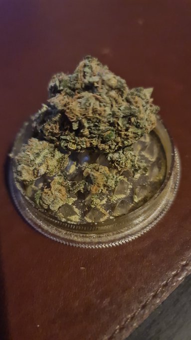 HappyD69, happy Dude✌🇬🇧free 🇵🇸&🇱🇧End Zionism tweet media